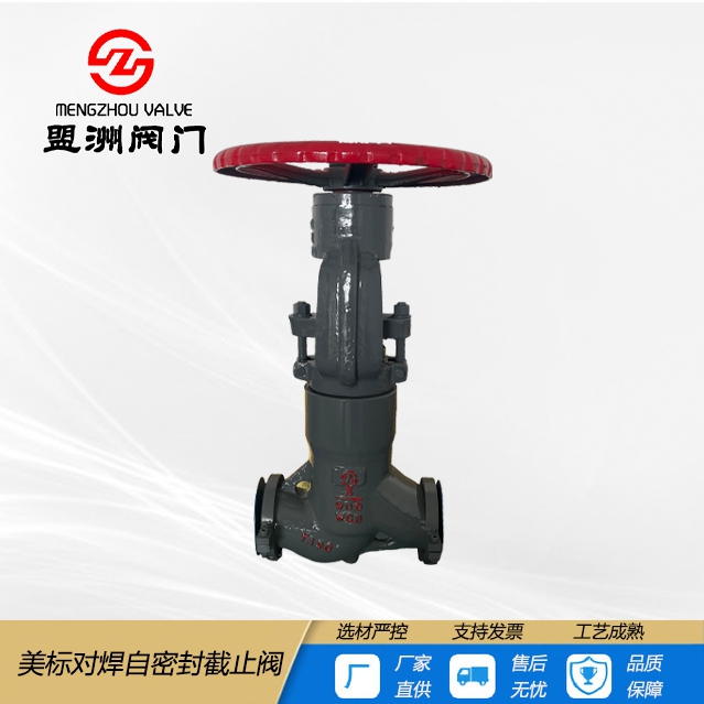 American standard self sealing butt welding globe valve